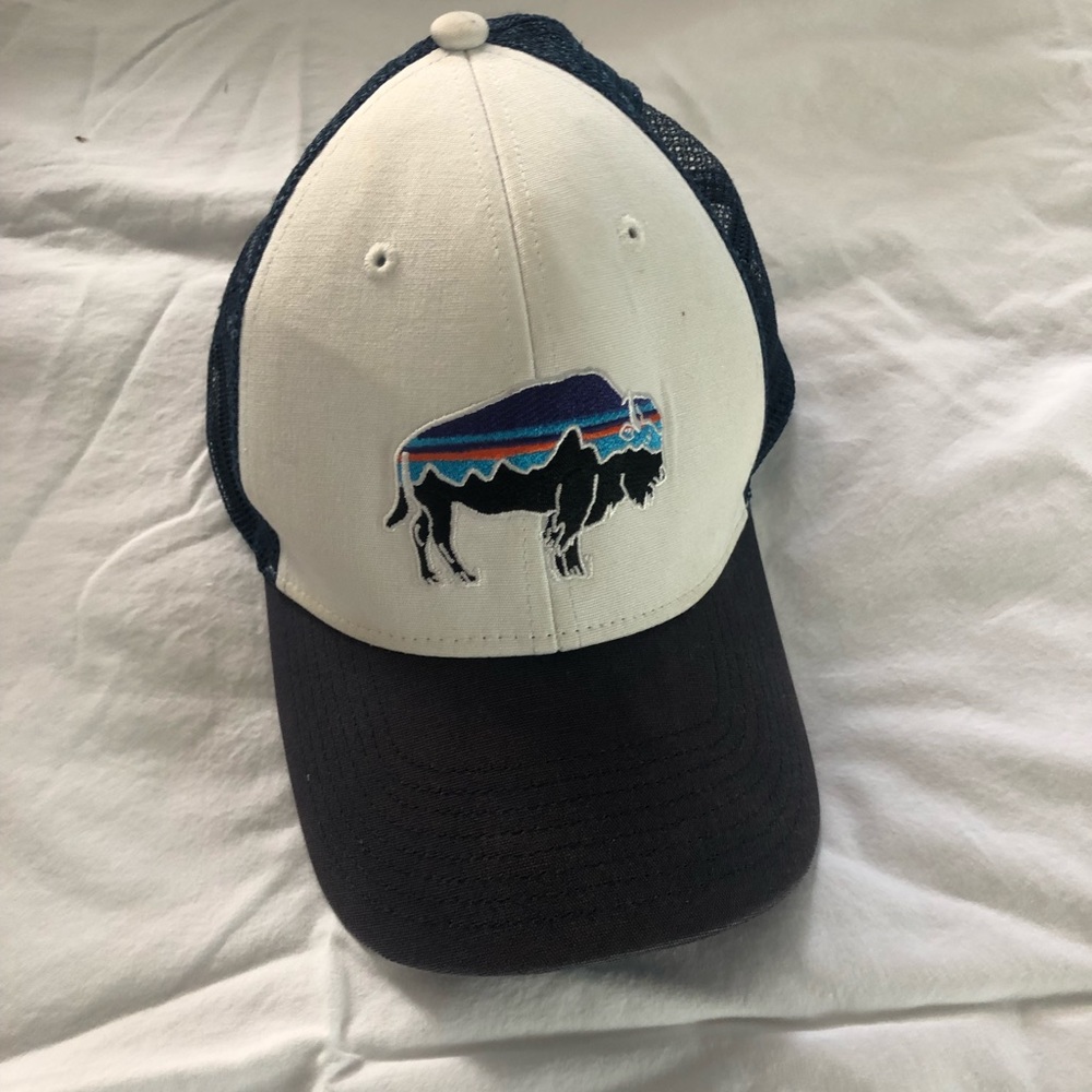 Patagonia hat